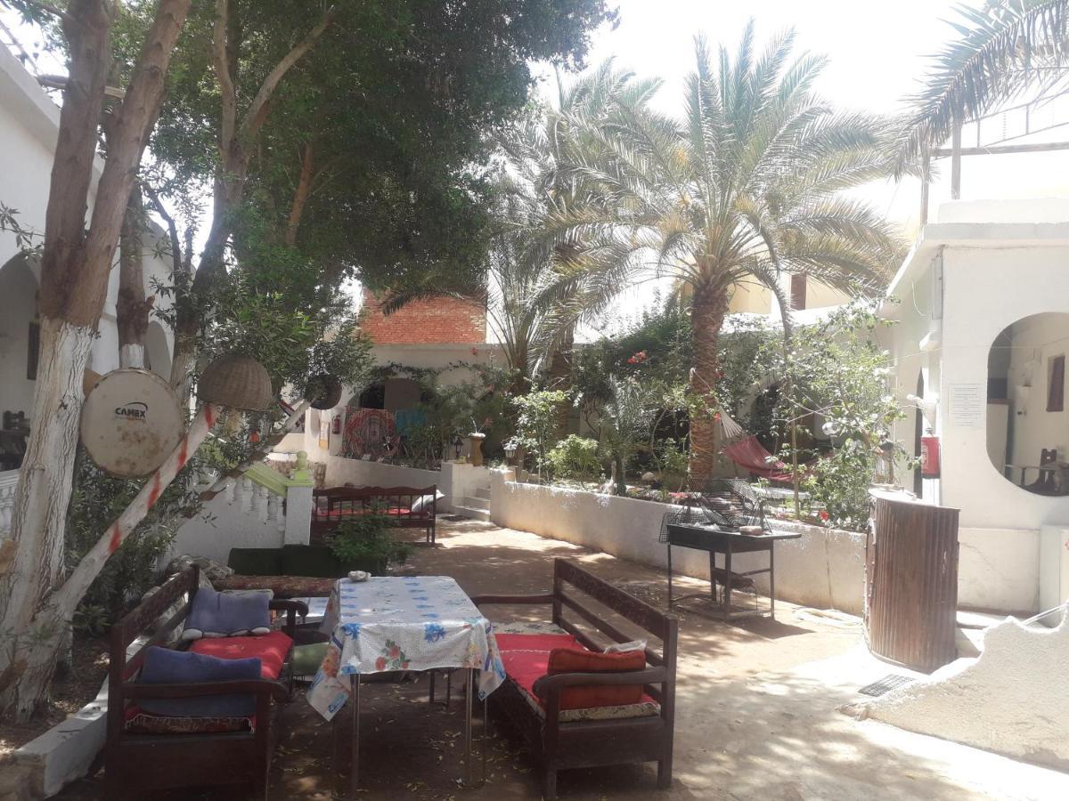 Hotel Fighting Kangaroo Camp Dahab Zewnętrze zdjęcie