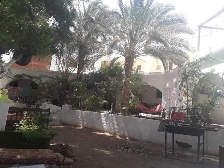 Hotel Fighting Kangaroo Camp Dahab Zewnętrze zdjęcie