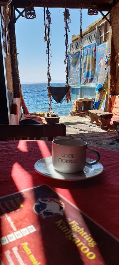 Hotel Fighting Kangaroo Camp Dahab Zewnętrze zdjęcie