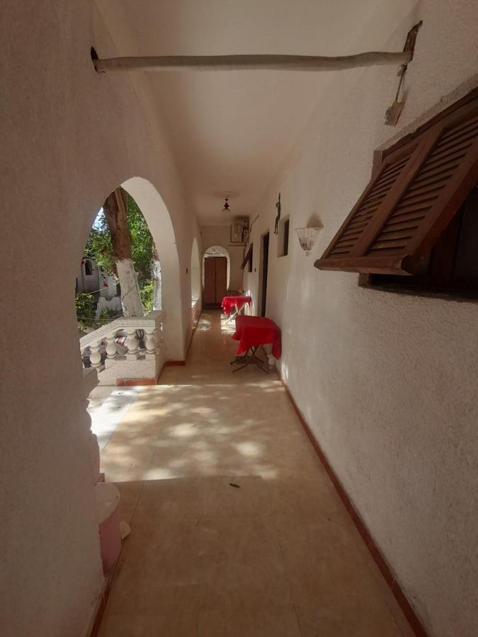 Hotel Fighting Kangaroo Camp Dahab Zewnętrze zdjęcie