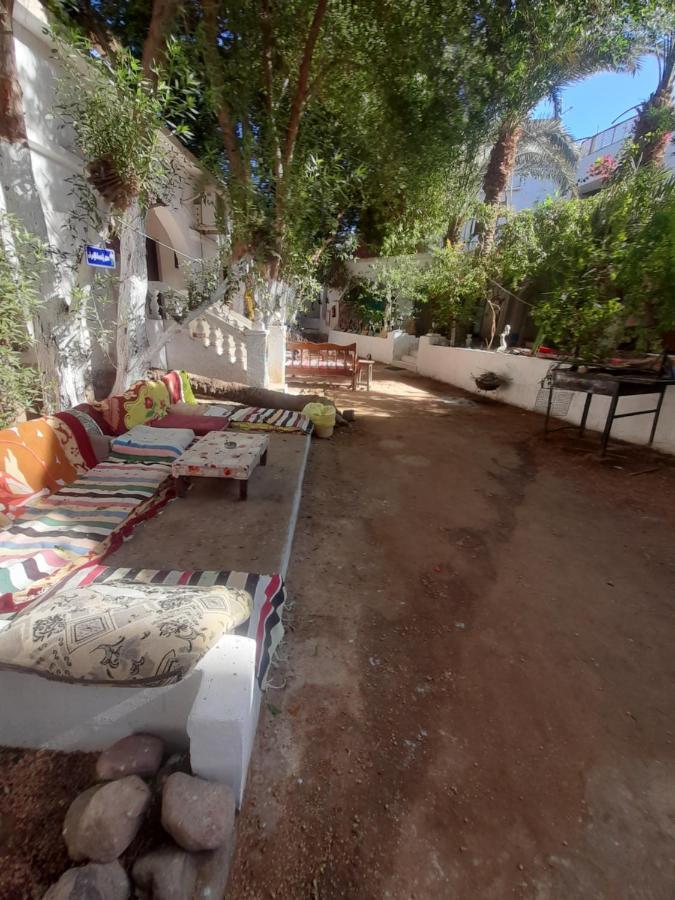 Hotel Fighting Kangaroo Camp Dahab Zewnętrze zdjęcie
