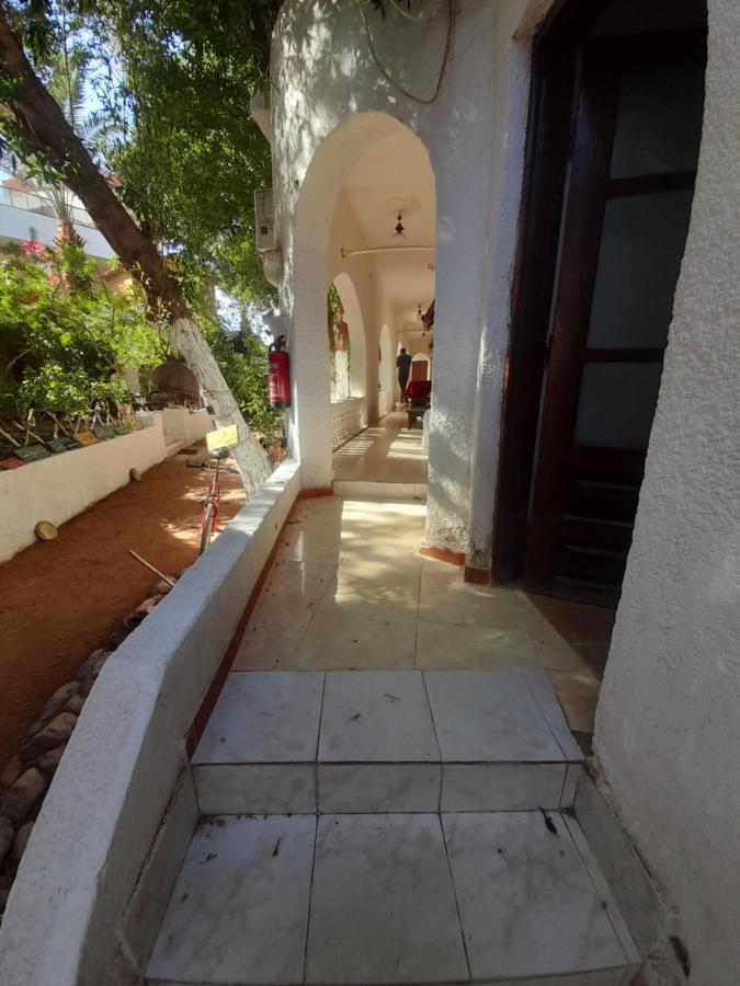 Hotel Fighting Kangaroo Camp Dahab Zewnętrze zdjęcie