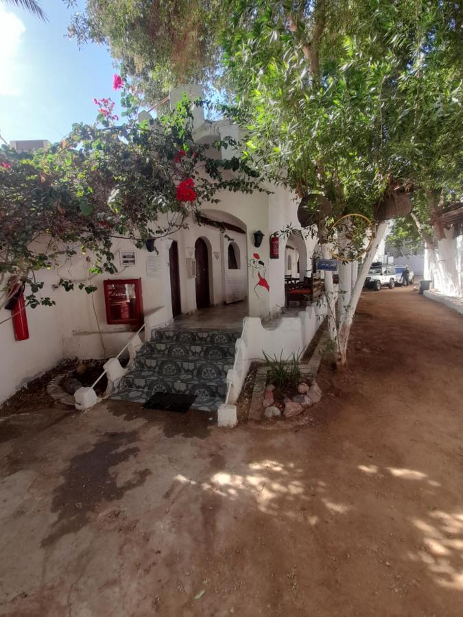 Hotel Fighting Kangaroo Camp Dahab Zewnętrze zdjęcie