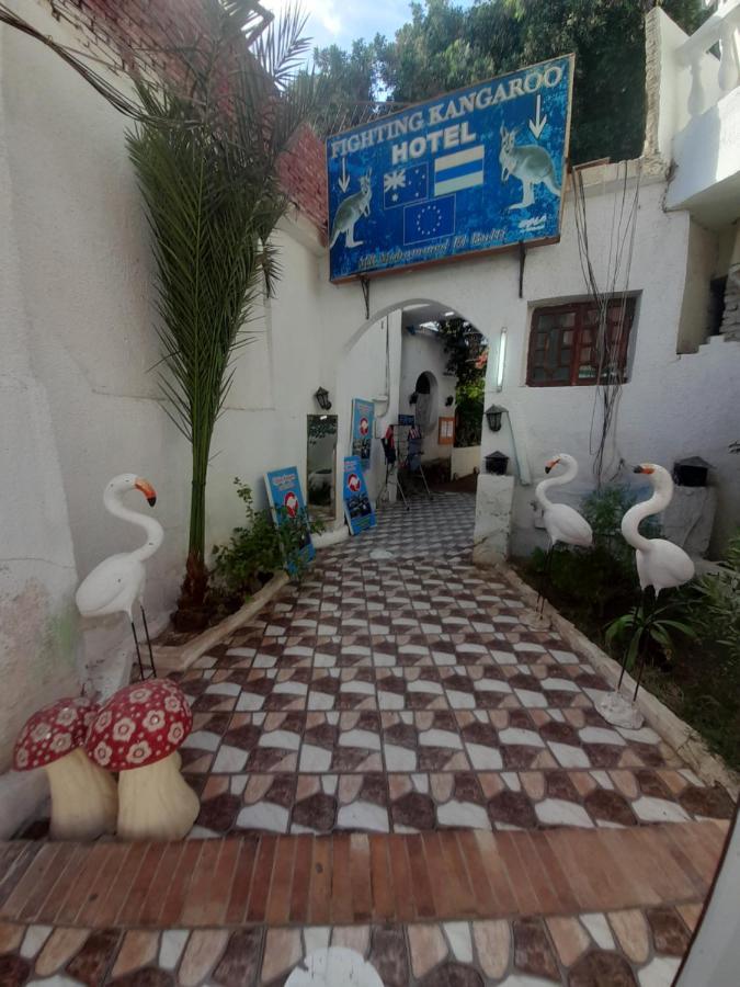 Hotel Fighting Kangaroo Camp Dahab Zewnętrze zdjęcie